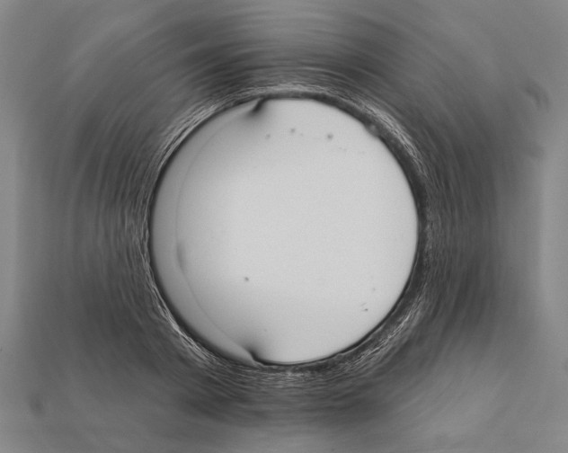 X0000112200793200909181532