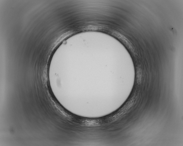 X0000112200794200909181532