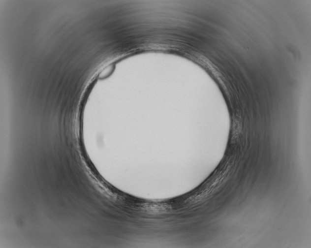 X0000112200795200909181532