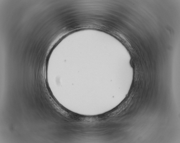 X0000112200796200909181532