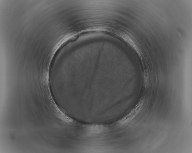 X0000112200797200909181532