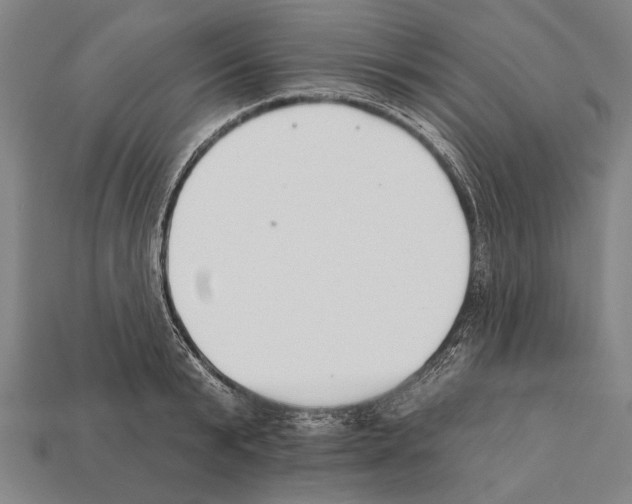 X0000112200799200909181532