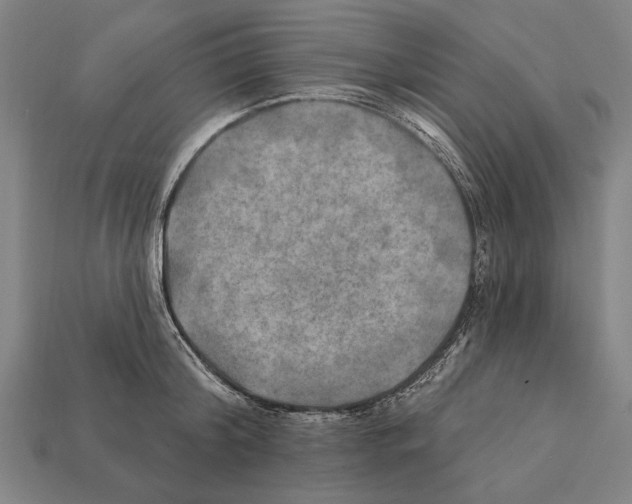 X0000112200804200909181532