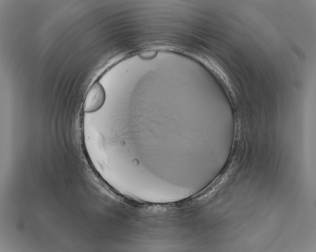 X0000112200806200909181532