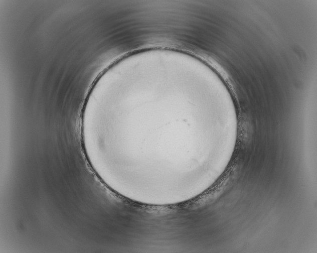 X0000112200807200909181532