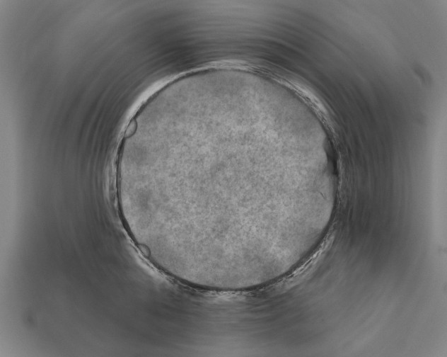 X0000112200808200909181532