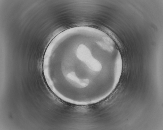 X0000112200810200909181532