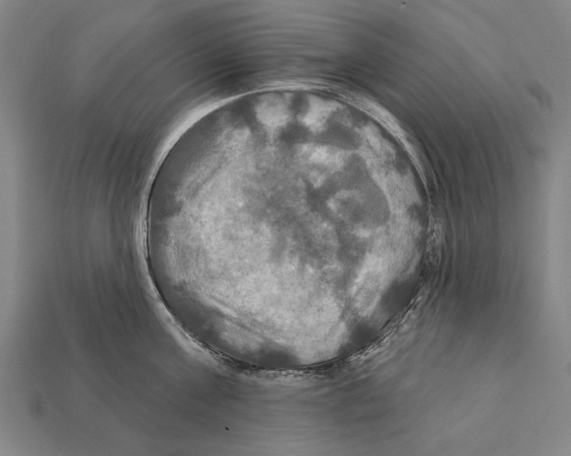 X0000112200811200909181532