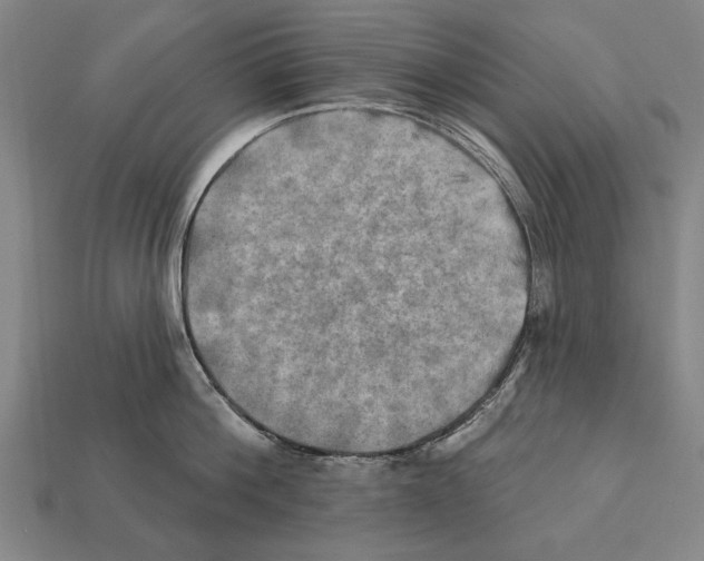 X0000112200812200909181532