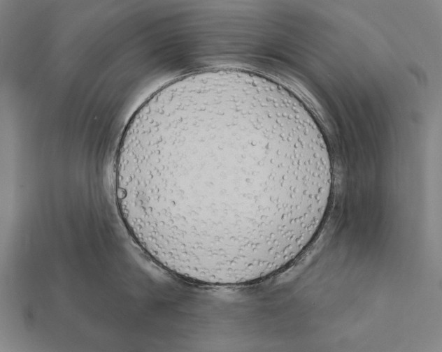 X0000112200814200909181532