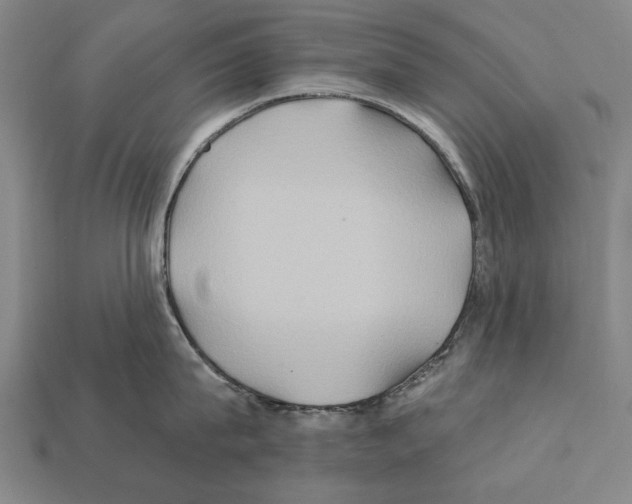 X0000112200815200909181532
