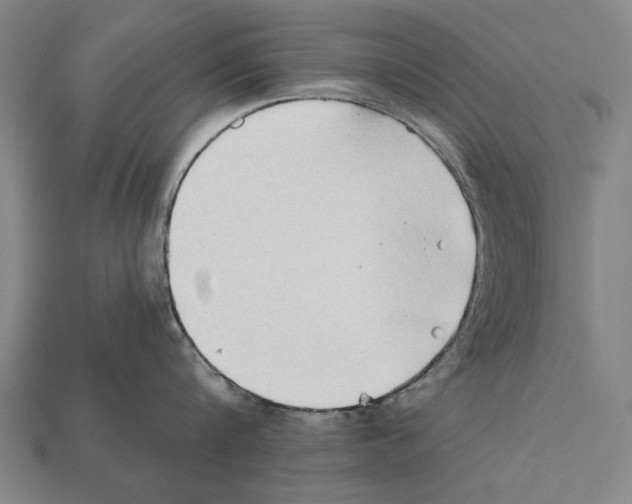 X0000112200816200909181532