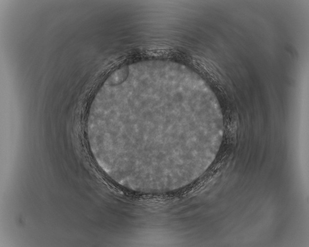 X0000112200817200909181531