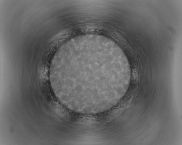 X0000112200820200909181531