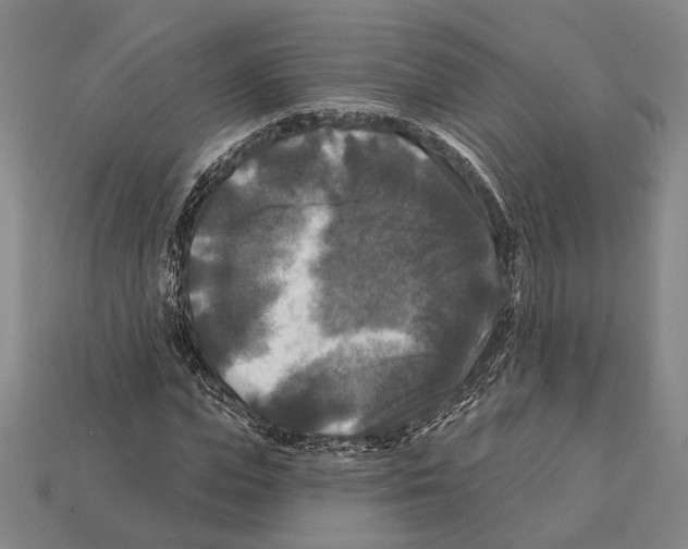 X0000112200823200909181531