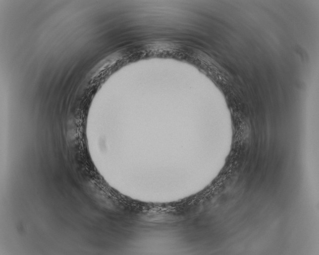 X0000112200824200909181531