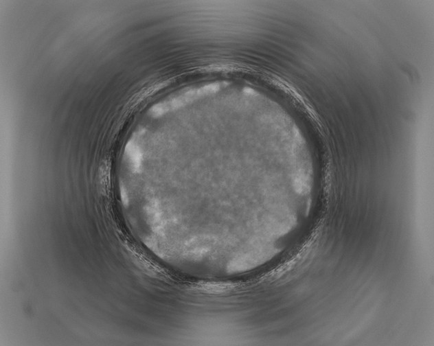 X0000112200825200909181531