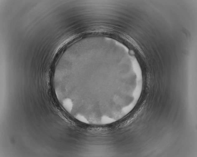 X0000112200826200909181531