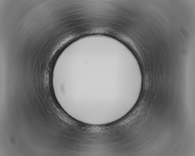 X0000112200827200909181531