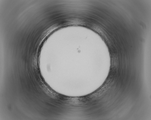X0000112200828200909181531