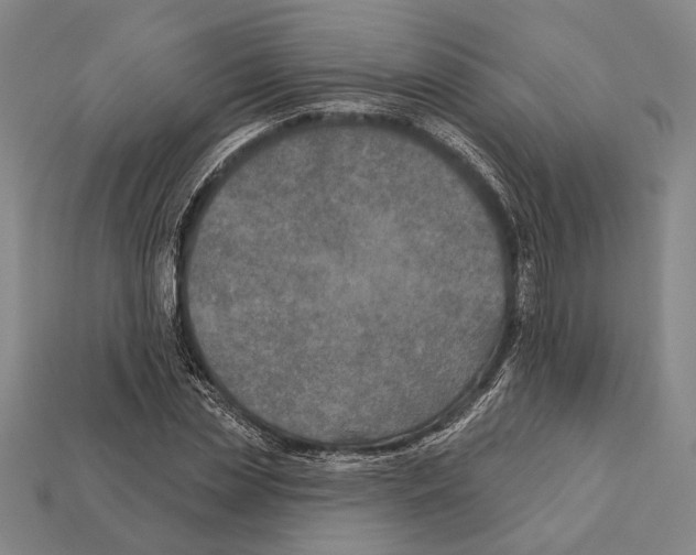 X0000112200829200909181531