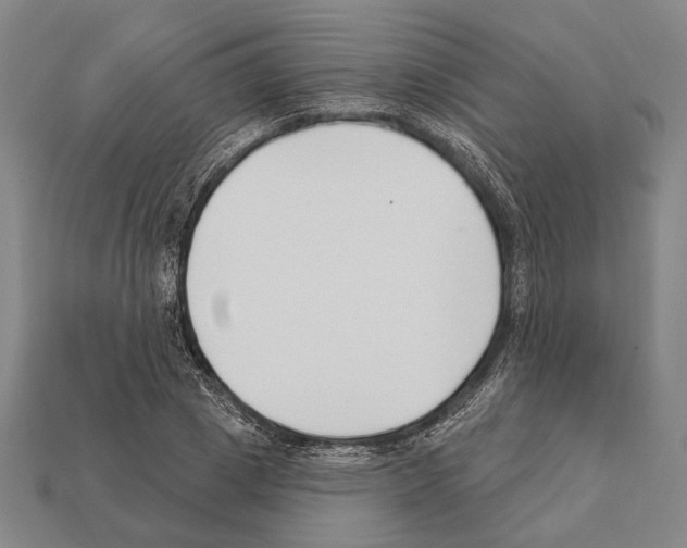 X0000112200833200909181531