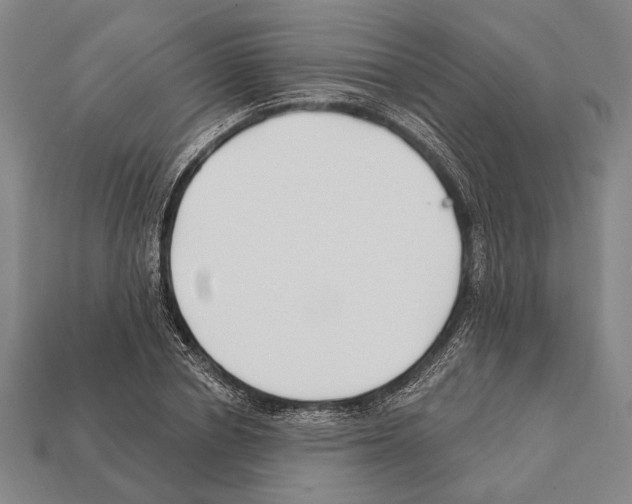 X0000112200834200909181531