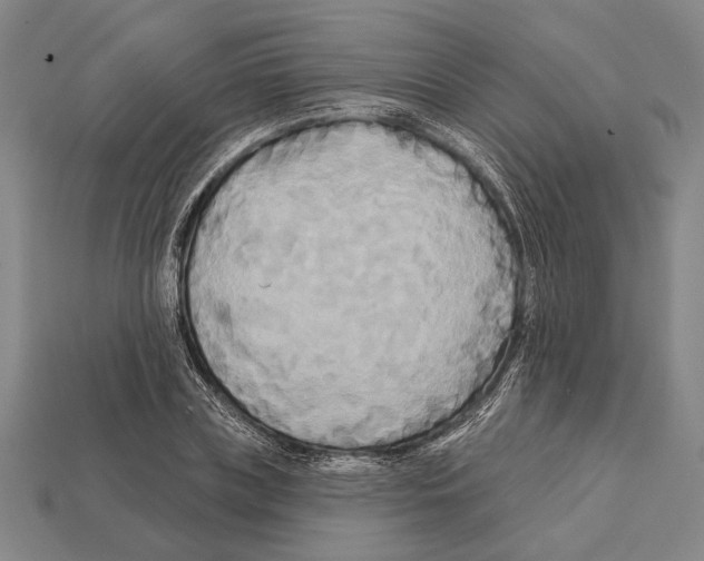 X0000112200835200909181532
