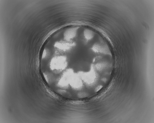 X0000112200837200909181532
