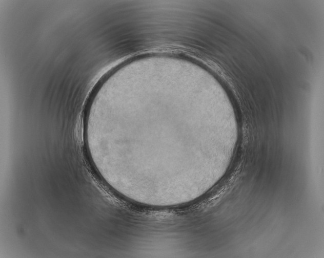 X0000112200838200909181532