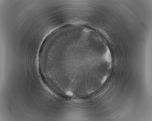 X0000112200840200909181532