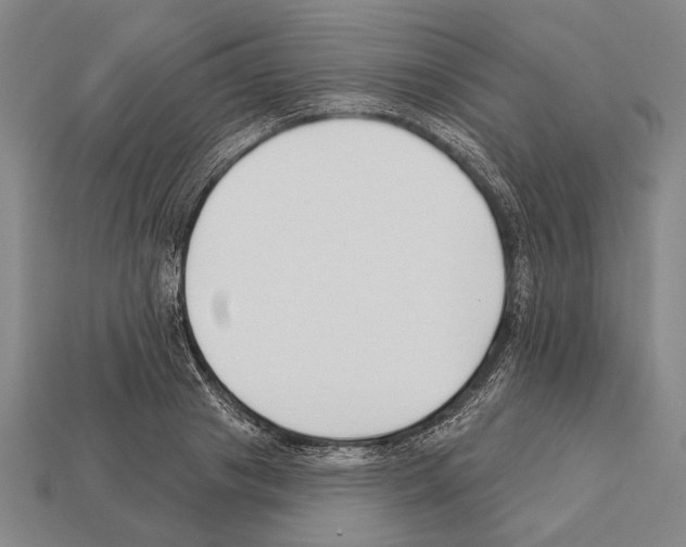 X0000112200841200909181532