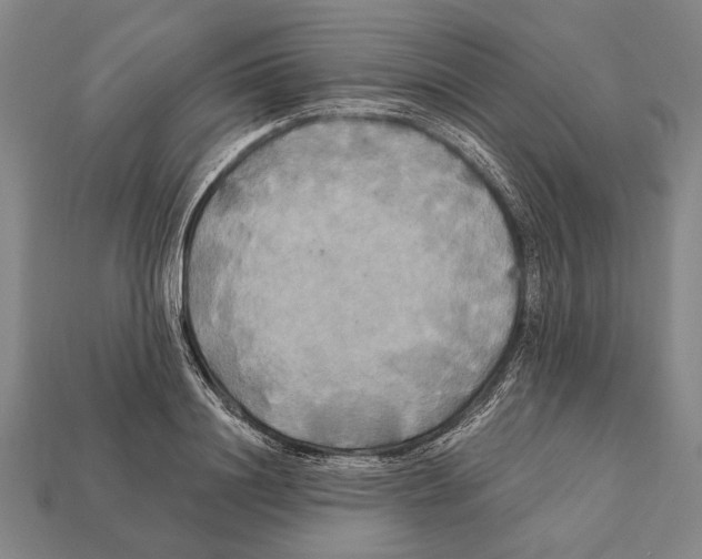 X0000112200844200909181532