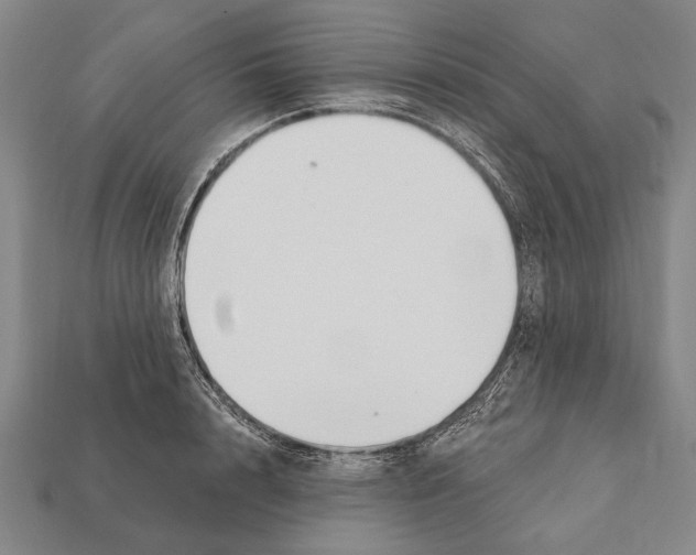 X0000112200848200909181532