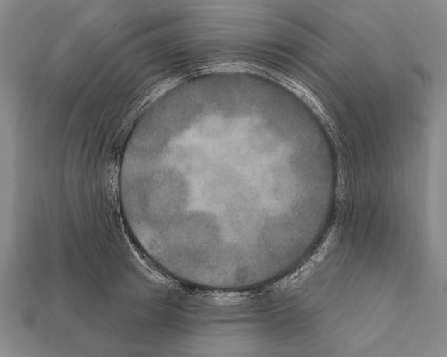 X0000112200849200909181532