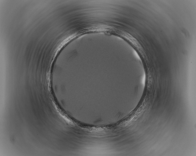 X0000112200850200909181532