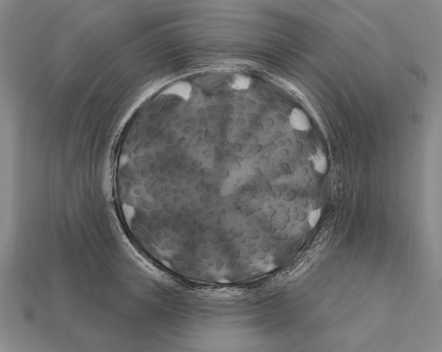 X0000112200851200909181532