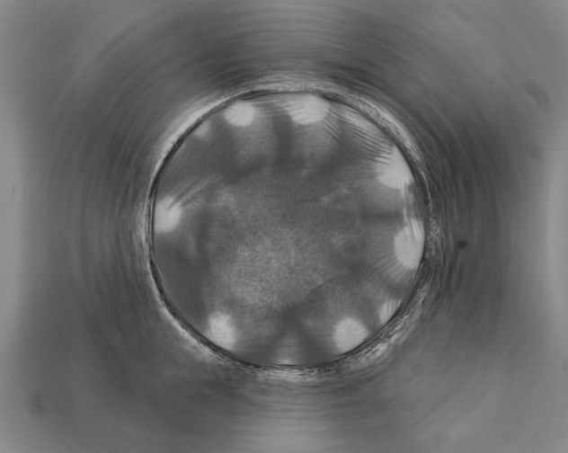 X0000112200855200909181532