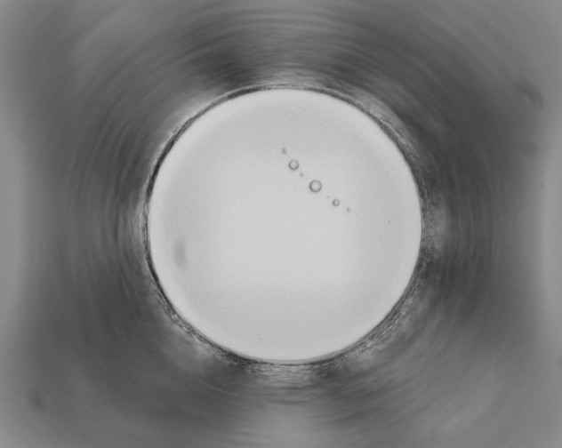 X0000112200856200909181532