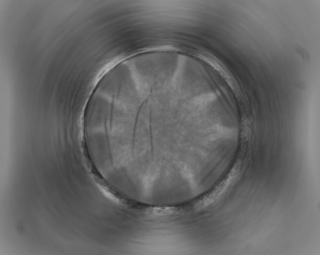 X0000112200858200909181532