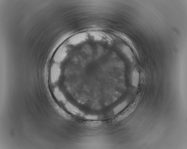 X0000112200859200909181532