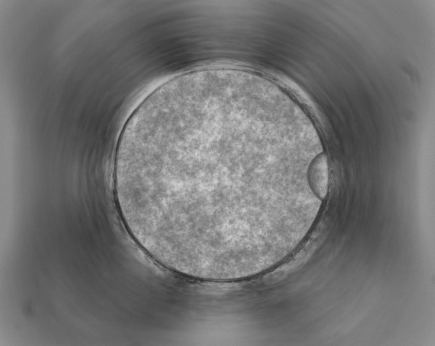 X0000112200860200909181532