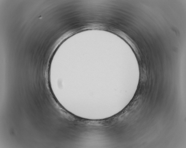 X0000112200861200909181532