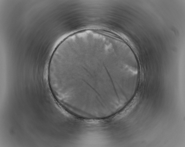 X0000112200862200909181532