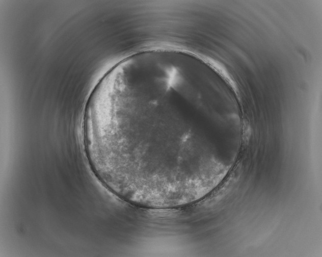 X0000112200863200909181532