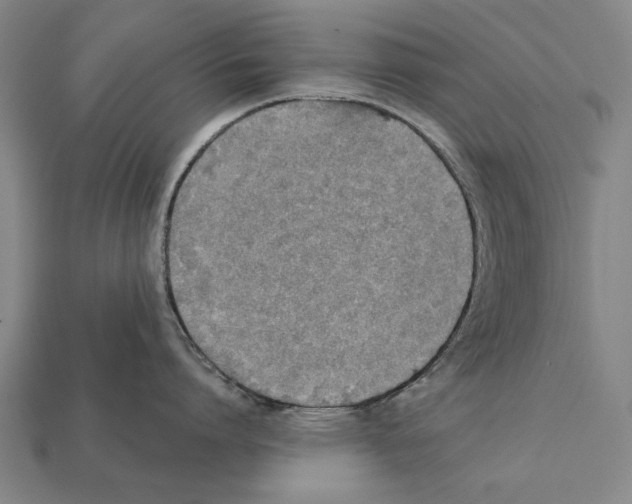 X0000112200864200909181532