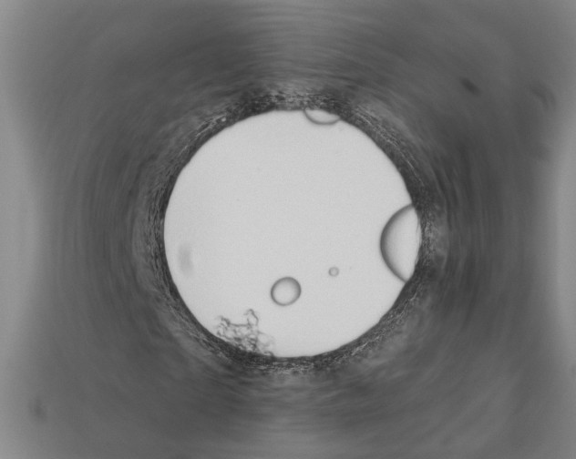 X0000112200865200909181531
