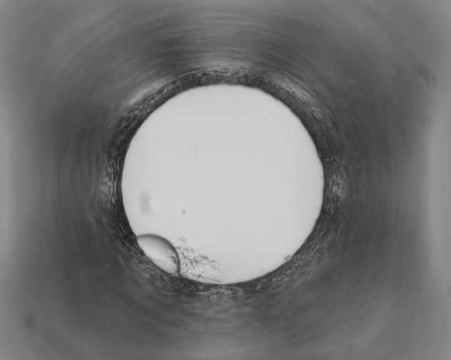 X0000112200869200909181531