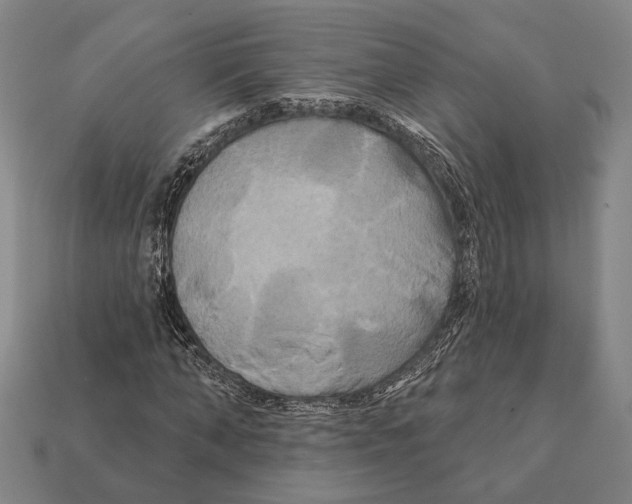 X0000112200870200909181531