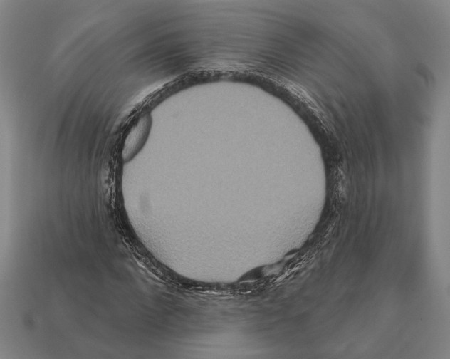 X0000112200872200909181531